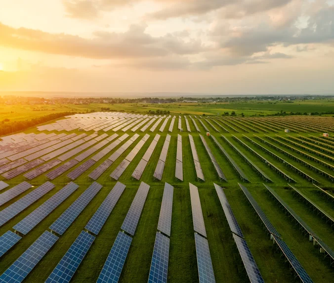 Aerial view of large electrical power plant with many rows of solar photovoltaic panels for producing clean ecological electric energy in morning. Renewable electricity with zero emission concept