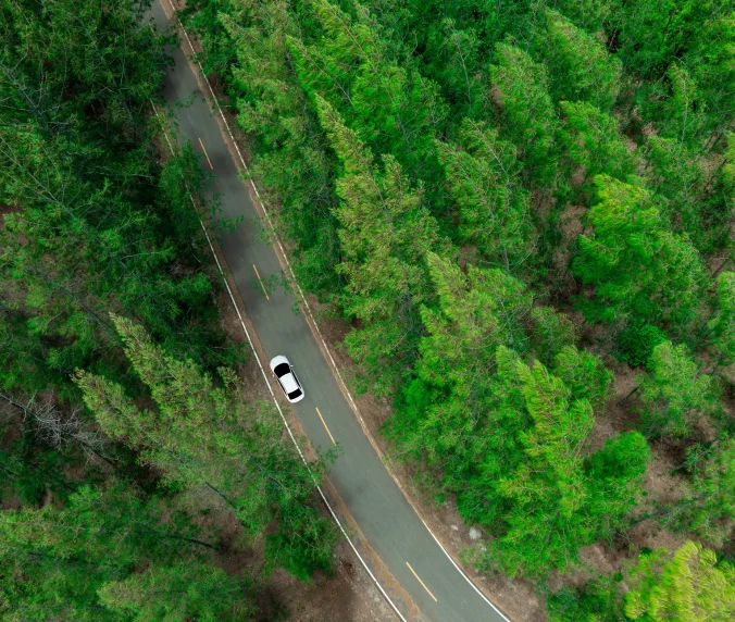 Aerial view of dark green forest road and white electric car Natural landscape and elevated roads Adventure travel and transportation and environmental protection concept
